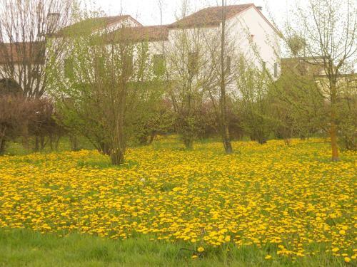 Villa Gaudio