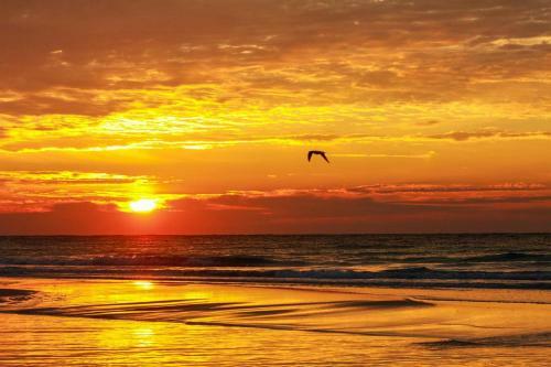 Deluna House By Pensacola Beach Properties
