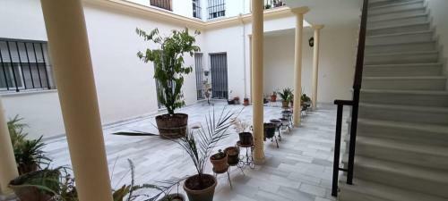 Apartamento Casa Milagros
