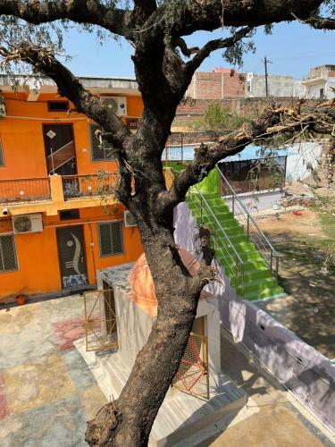 Hotel Anand Dham Guest House By Wb Inn