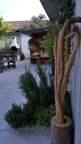 Bed And Breakfast Ai Sassi