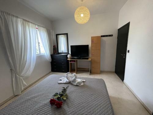 Katakos Modern-cozy Apartment With Forest-sea View