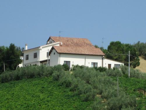 Agroturismo Cantina Loft