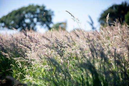 Luxury Glamping Cabins In Stunning Countryside