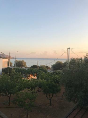 Saronida Beach Apartments Kids And Pets Friendly