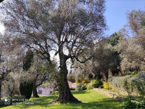 Apartment Fragonard With Pool And Large Private Terrace