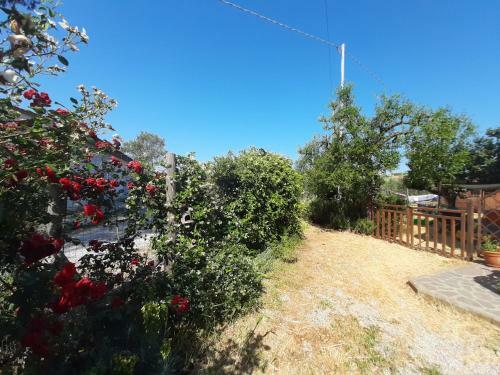 Apartamento Casa Di Campagna A Pochi Minuti Dal Mare