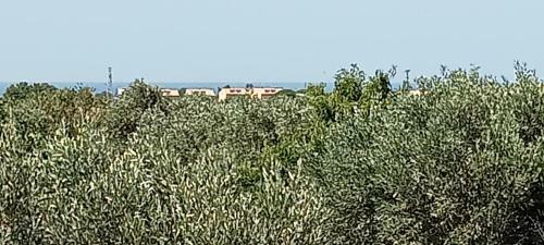 Hostal Villa Capozza Maria Greca