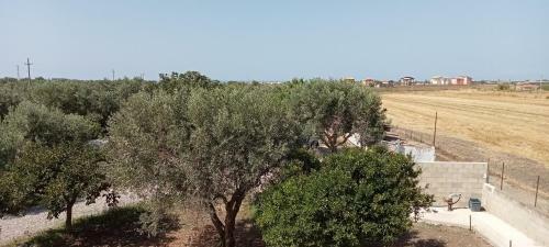 Hostal Villa Capozza Maria Greca