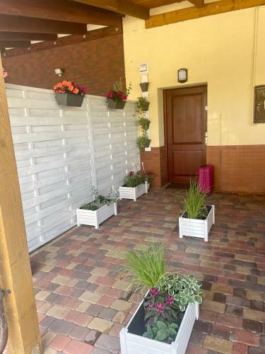Apartamento Przystanek Surfera