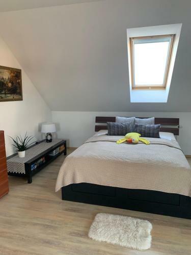 Apartament Krokusowa