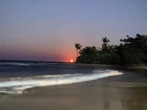Apartamento Flat Alto Padr�o Barra Grande