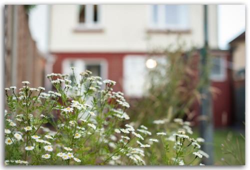 Apartamento Beautiful 3 Bed House In Maidstone