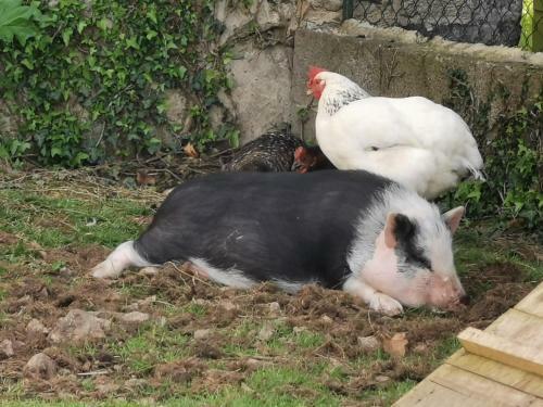Bed & Breakfast Au Domaine De Gigie