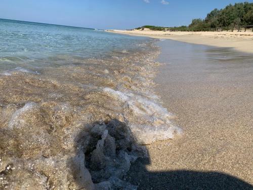 Villa Salento Localit� Torre Ovo - Villa Cice