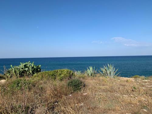 Villa Salento Localit� Torre Ovo - Villa Cice