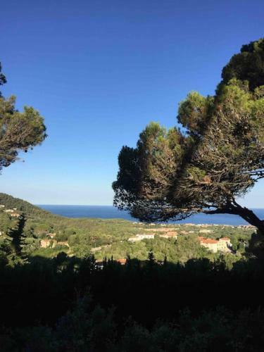 Apartamento Appartmento Montenero Vista Mare