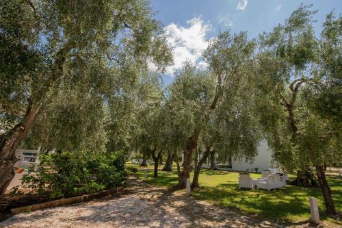 Ferienwohnung Ulivo Mit Pool Und Privatstrand -1