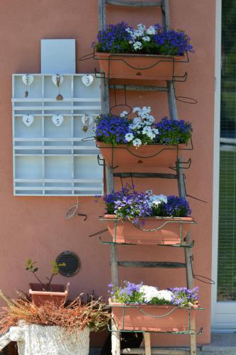 Hostal Affittacamere Il Torchio