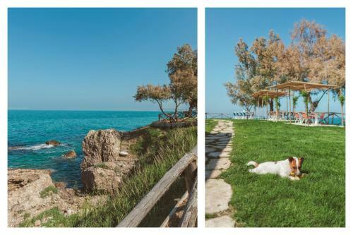 Bed & Breakfast Bagni Vittoria