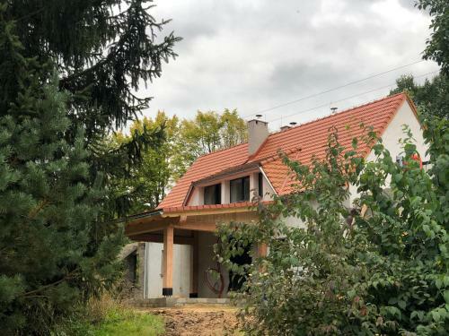Apartamento Dolina Zdrowia U Skrzypk�w