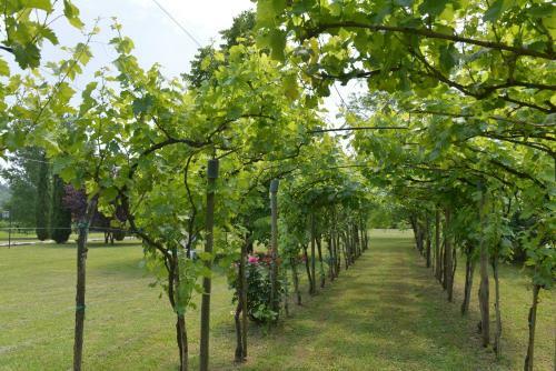 Bed & Breakfast Casale Santa Rita