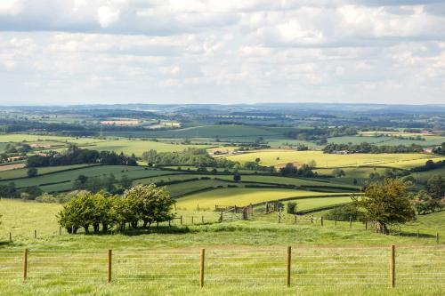 The Private Hill