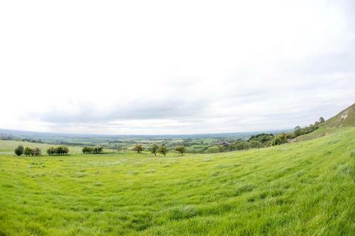 The Private Hill