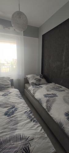 Apartamenty Agpa3