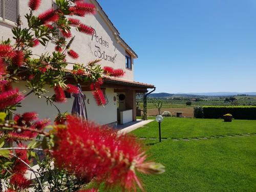 Agroturismo Agriturismo Diaccia Botrona