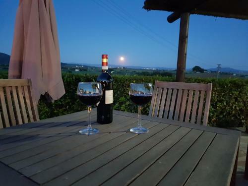 Agroturismo Agriturismo Diaccia Botrona