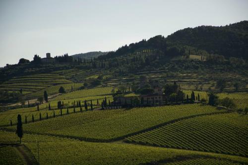 Agroturismo Fattoria Viticcio