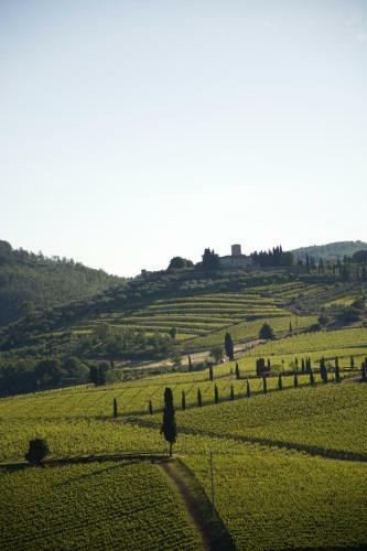 Agroturismo Fattoria Viticcio