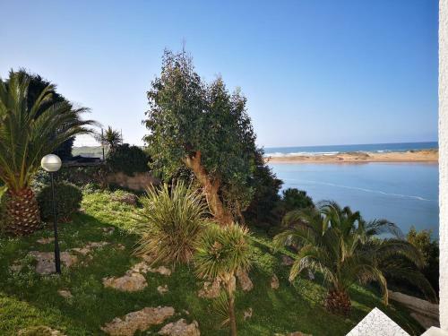 Apartamento Mogrosol