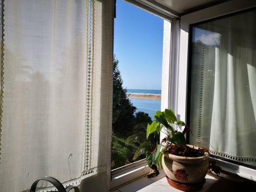 Apartamento Mogrosol