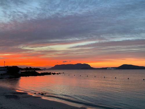 Apartamento Noemi Home Olbia - Panoramic And Super Comfy