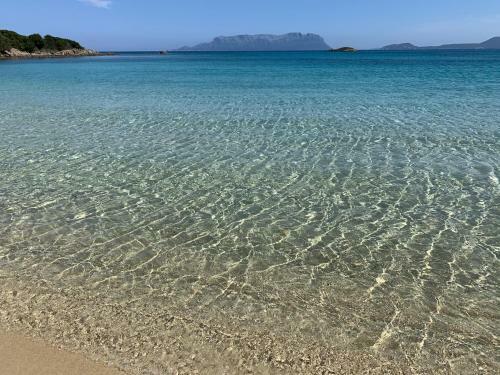 Apartamento Noemi Home Olbia - Panoramic And Super Comfy