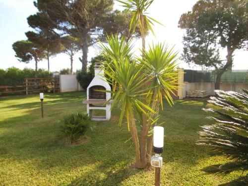 Agroturismo Agriturismo L'agrumeto