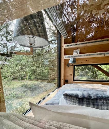Bed & Breakfast My Tree Home Warszawa, Macierowe Bagno