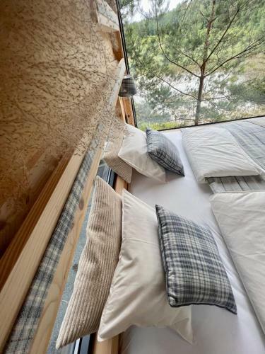 Bed & Breakfast My Tree Home Warszawa, Macierowe Bagno