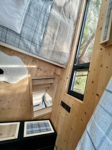 Bed & Breakfast My Tree Home Warszawa, Macierowe Bagno