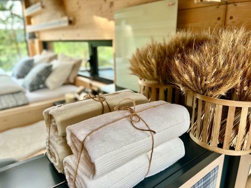 Bed & Breakfast My Tree Home Warszawa, Macierowe Bagno