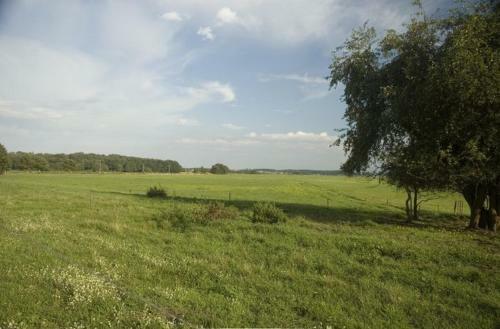 Apartamento Haus Riwa Am Tannengrund