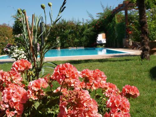 Villa Giusy B&B