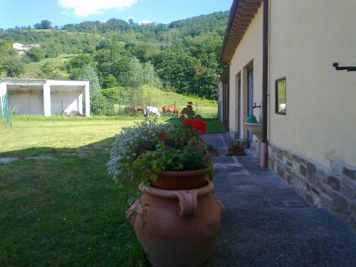 Agroturismo Domus Laetitiae Santa Croce