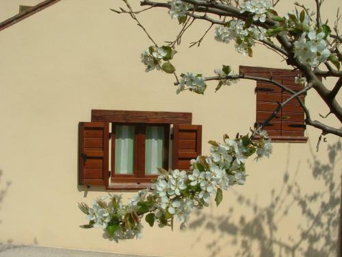 Agroturismo Domus Laetitiae Santa Croce