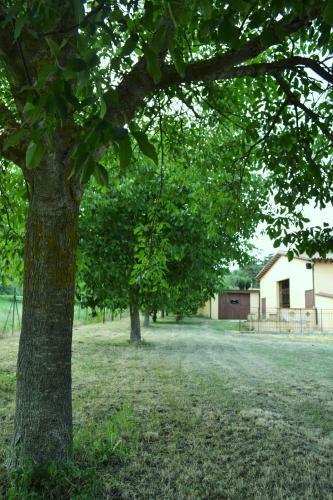 Agroturismo Domus Laetitiae Santa Croce