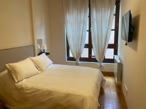 Apartamento Casco Hist�rico-catedral Oviedo