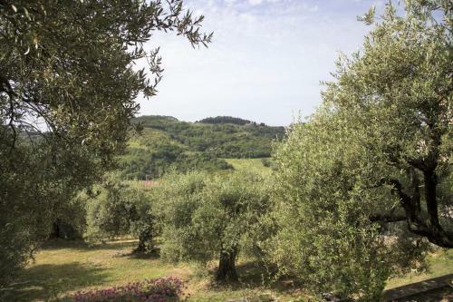 Casa Mia -per Sentirti A Casa Tua