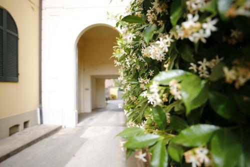Lungarno Buozzi 7 Apartments